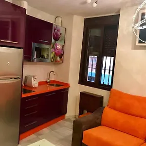 https://bonito-loft-d-pedro-life.es-andalucia.com
